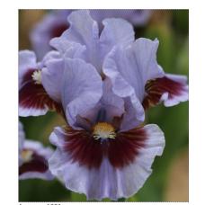 TWO HEARTS TWO HEARTS